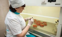 28.11.2022 - 02.12.2022