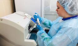 01.03.2023 - 17.03.2023