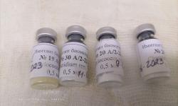 24.03.2023 - 30.03.2023