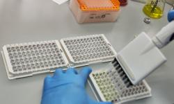 01.04.2023 - 14.04.2023