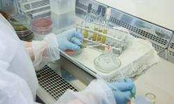 18.11.2022-24.11.2022